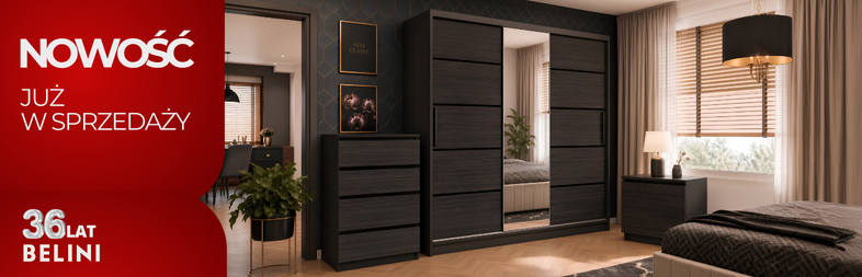 szafa 786x253 pl